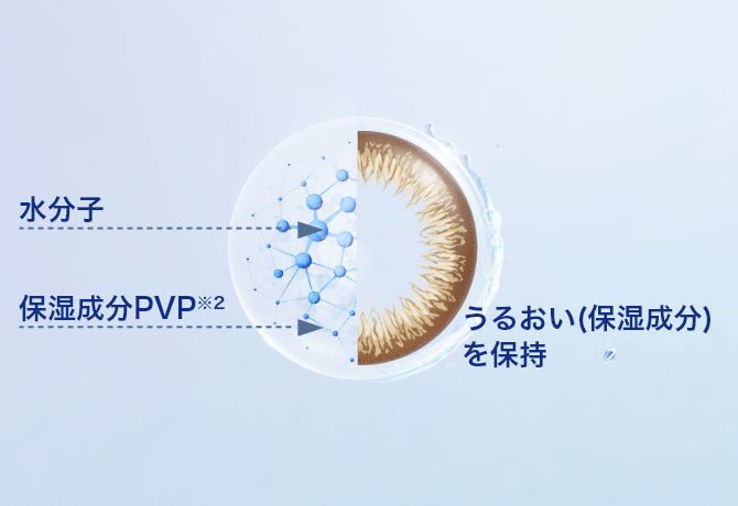 水分子　保湿成分PVP※2　うるおい（保湿成分）を保持